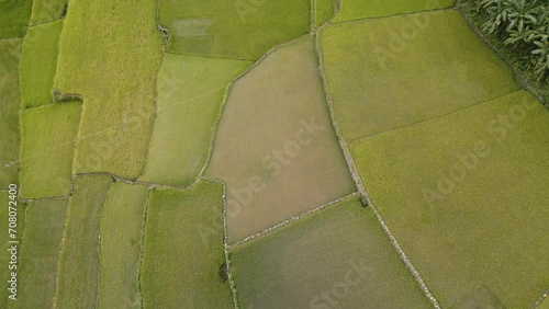 Terrazas de arroz de Ducligan, Filipinas photo