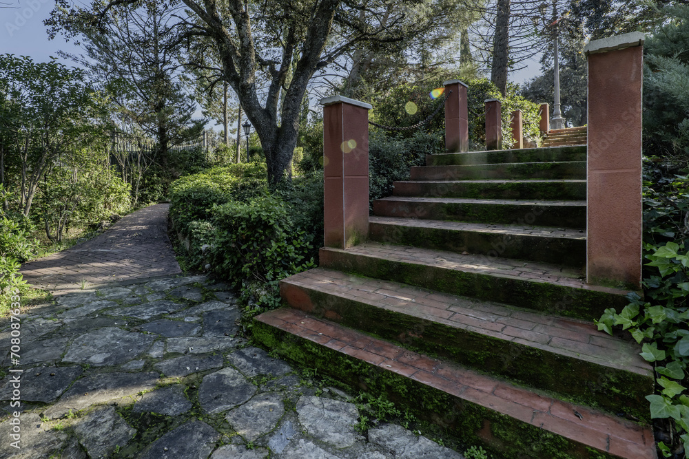 Exterior construction stairs with steps covered in green moss in the middle of a farm with lots of vegetation Exterior construction stairs with steps covered in green moss in the middle of a farm with lots of vegetation