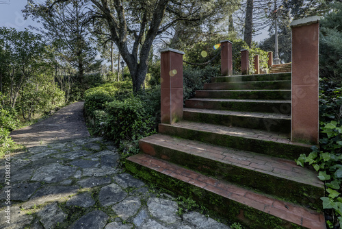 Exterior construction stairs with steps covered in green moss in the middle of a farm with lots of vegetation