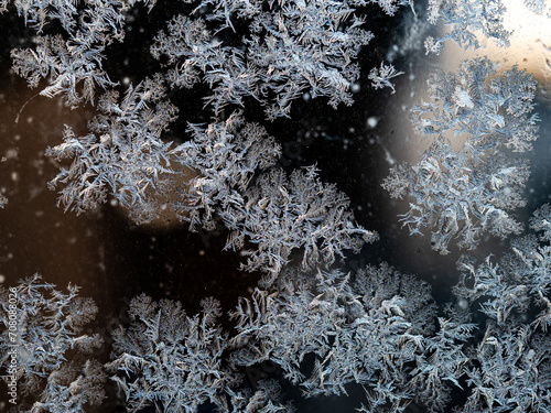 Eisblumen am  Fenster photo