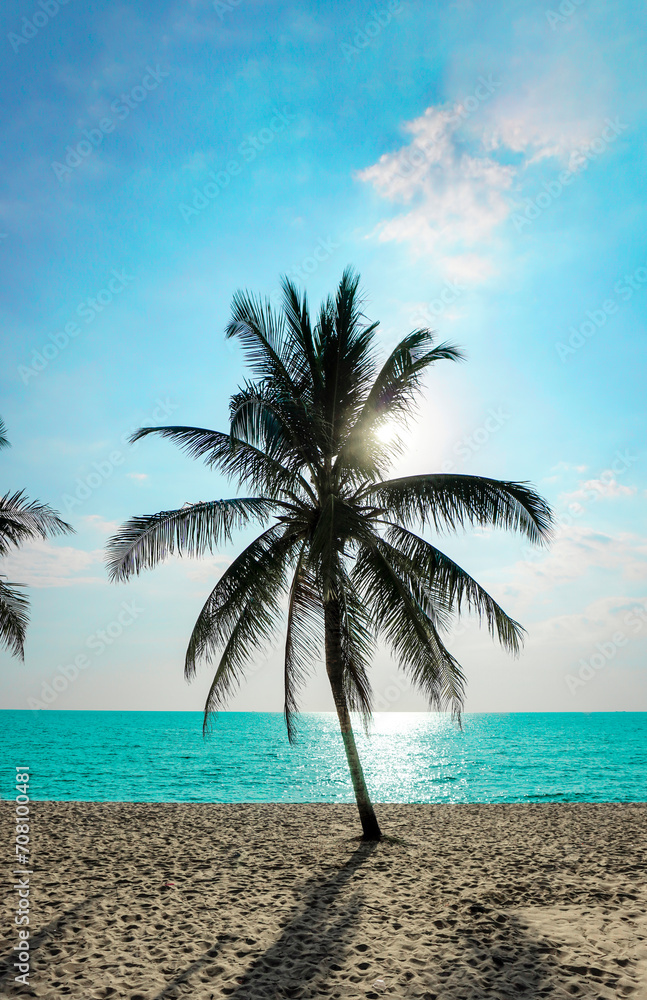 Beach in Sihanoukville. Palm trees and blue sea