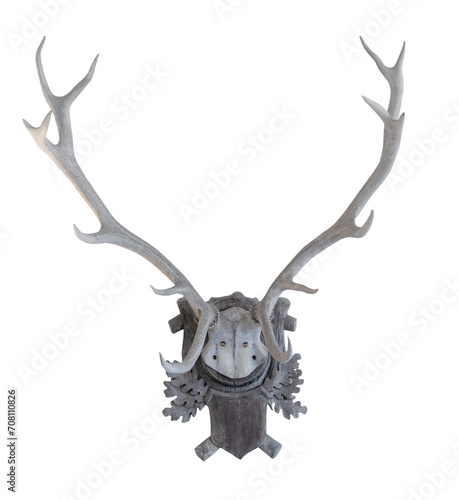 The vintage antlers on white, isolated.