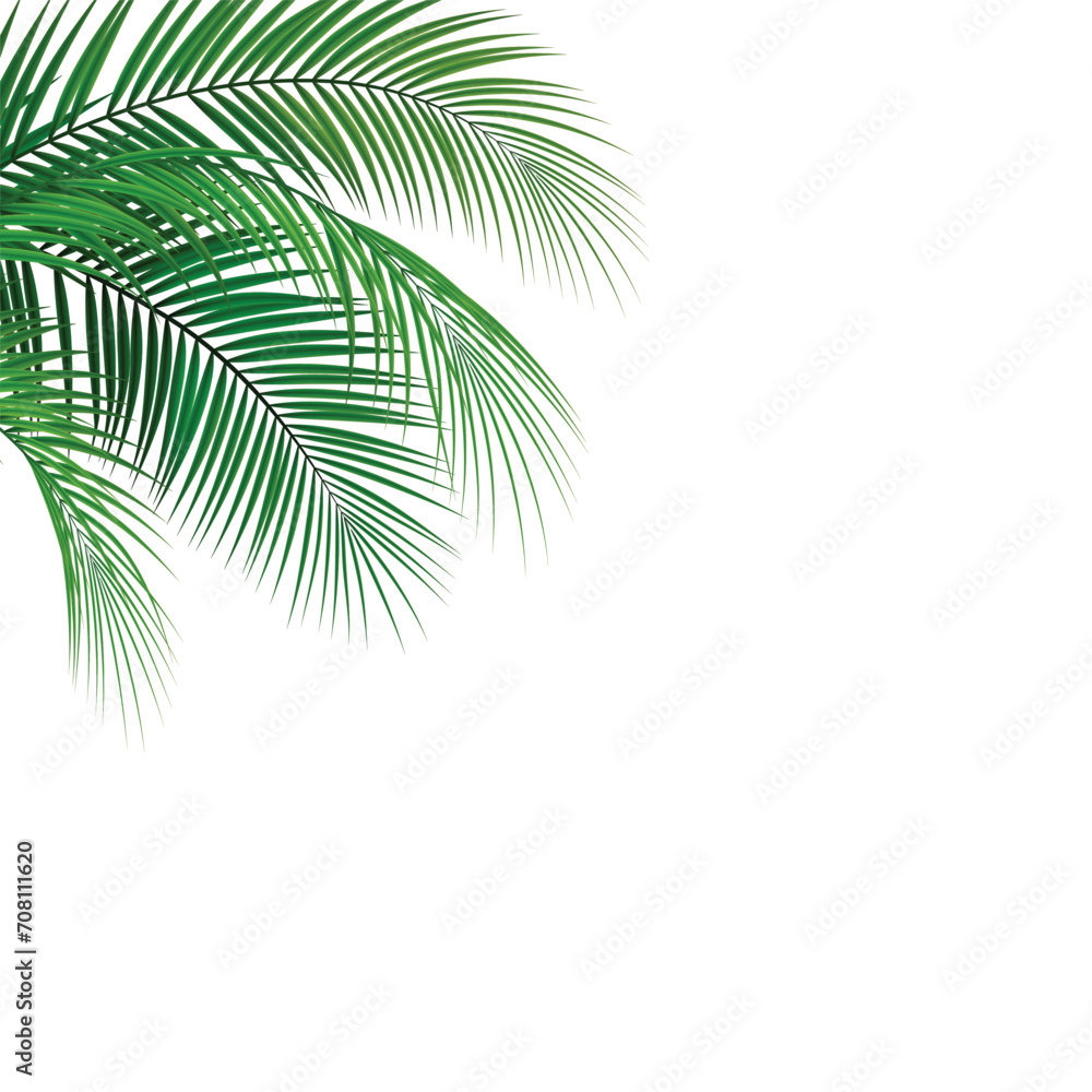 Naklejka premium leaves palm coconut realistic