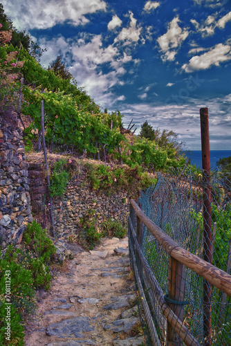 Fototapeta Naklejka Na Ścianę i Meble -  
Cinque Terre views of hiking trail along seaside villages on the Italian Riviera coastline. Liguria, Italy, Europe. 2023 Summer. 