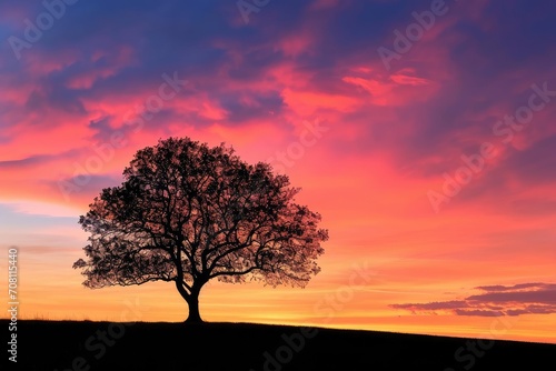 Lonely tree silhouetted against a vibrant sunset sky
