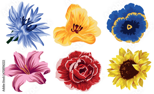 set of different flowers namely yellow tulip, blue, cornflower, pink lily and red rose, sunflower and blue field flower for typography, banner or textile, vector
