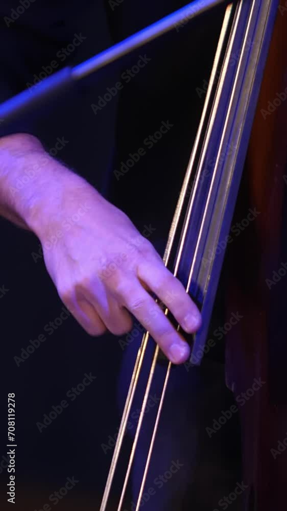 Vertical video. Close up. The musician's hands pick the strings of the double bass with their fingers. The concept of a Contrabass musician playing, what plays to record the sound Vertical video. Close up. The musician's hands pick the strings of the double bass with their fingers. The concept of a Contrabass musician playing, what plays to record the sound