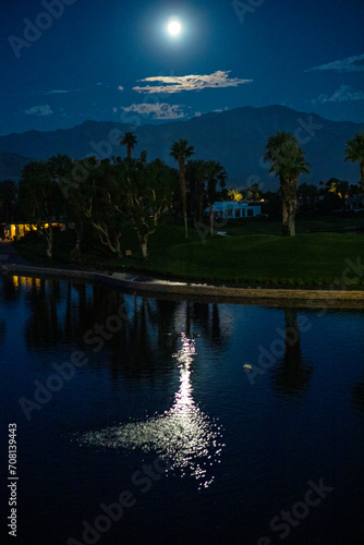 Tranquil scene with bright moon over mountains and palm trees