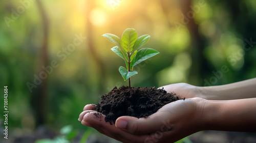 growth plant hands soil nurture