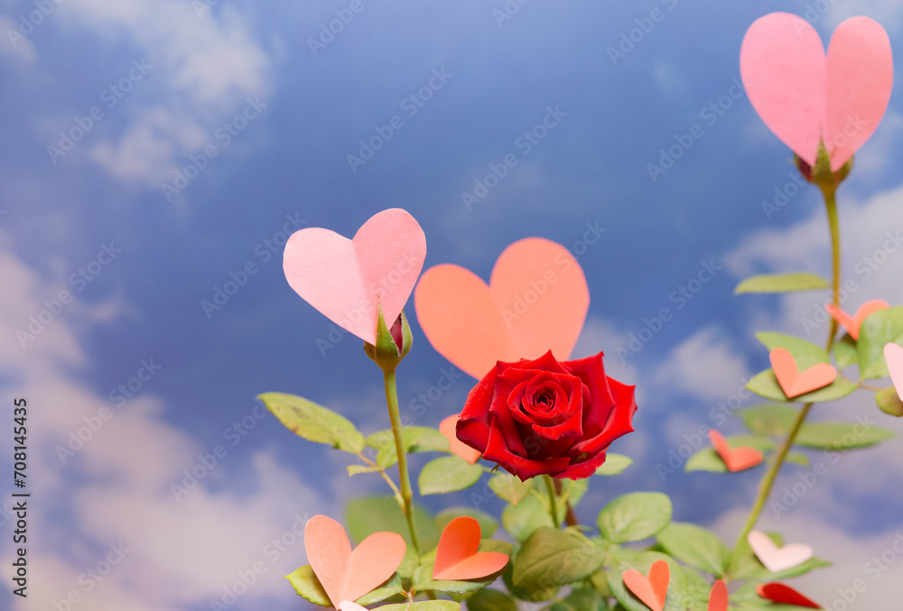 Banner of rose with hearts on its leaves against a sky background. Concept of romance, love, Valentine's Day. Copyspace....... Banner of rose with hearts on its leaves against a sky background. Concept of romance, love, Valentine's Day. Copyspace.......