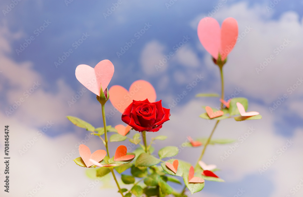 Banner of rose with hearts on its leaves against a sky background. Concept of romance, love, Valentine's Day. Copyspace....... Banner of rose with hearts on its leaves against a sky background. Concept of romance, love, Valentine's Day. Copyspace.......