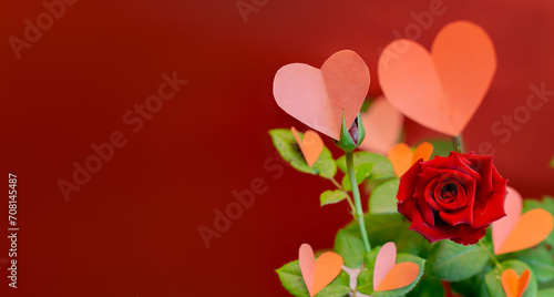 Banner of a rose with paper hearts on its green leaves against a red background. Concept of love, Valentine's Day, elegance. Copyspace