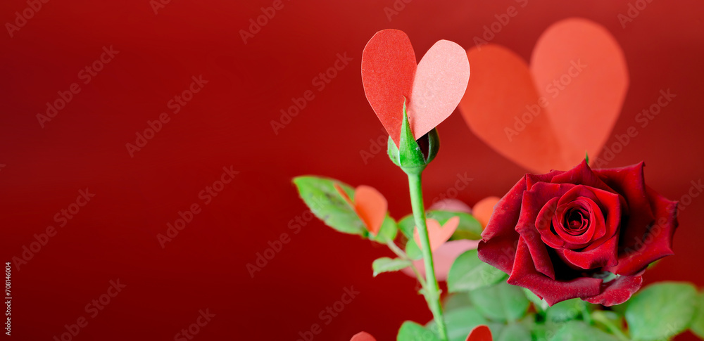 Obraz premium Banner of a rose with paper hearts on its green leaves against a red background. Concept of love, Valentine's Day, elegance. Copyspace
