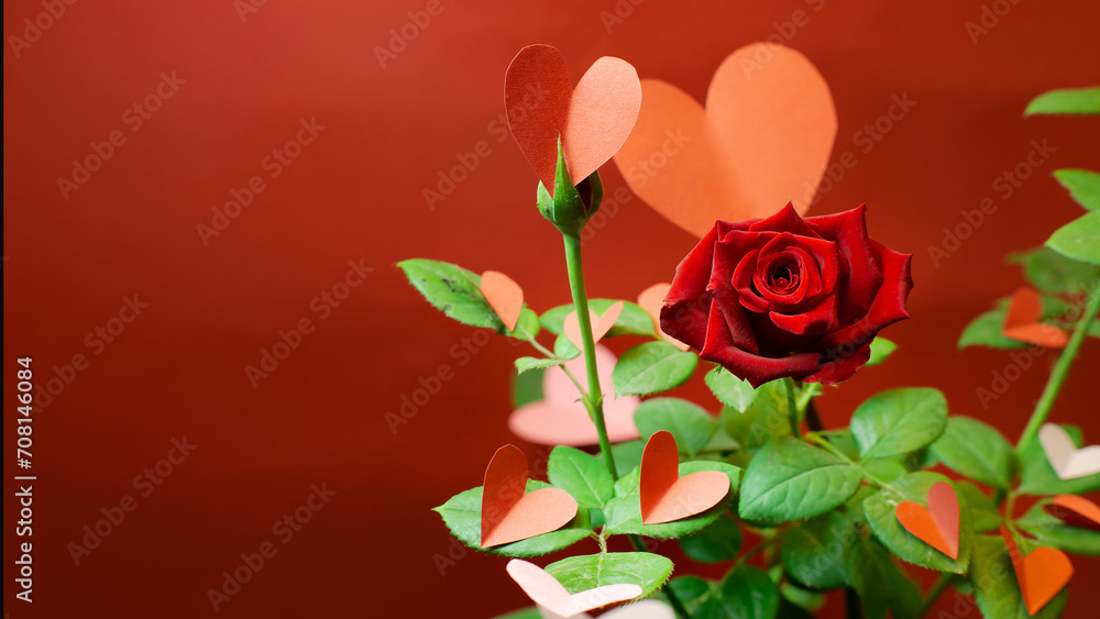 Banner of a rose with paper hearts on its green leaves against a red background. Concept of love, Valentine's Day, elegance. Copyspace Banner of a rose with paper hearts on its green leaves against a red background. Concept of love, Valentine's Day, elegance. Copyspace