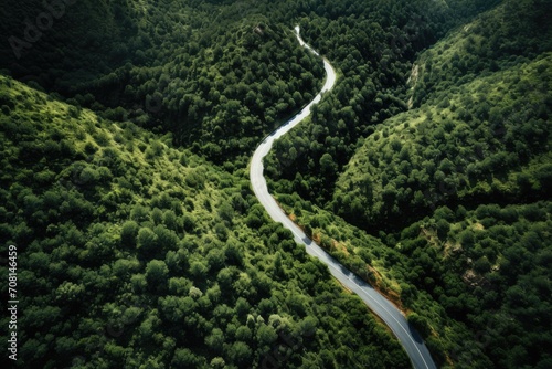 Winding road top view. A flat track between dense green trees. Asphalted road in forest. Drone photo.