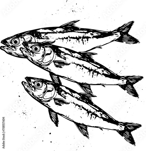 anchovies in sketch style.