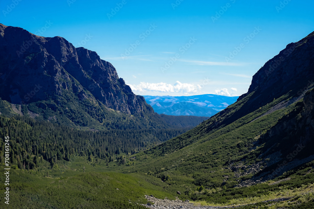 A mountain range with trees and mountains in the background