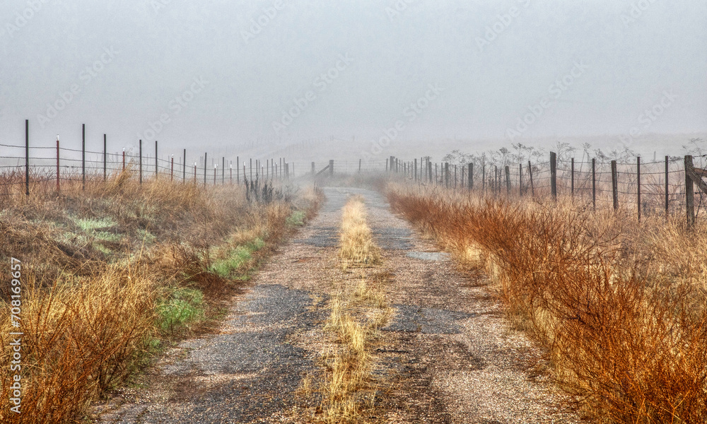 Roadway with fences on foggy morning Roadway with fences on foggy morning