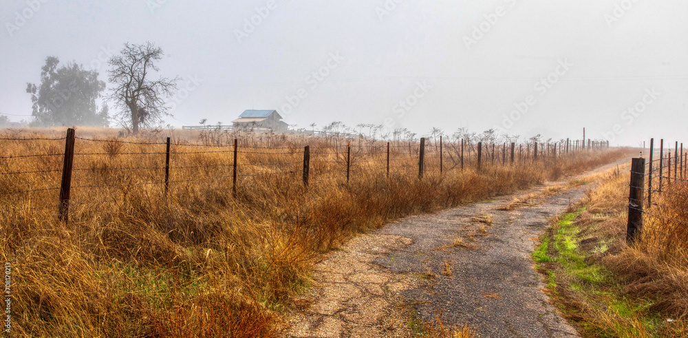 Country road with fence and fog