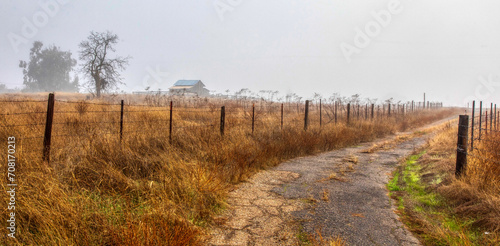 Country road with fence and fog