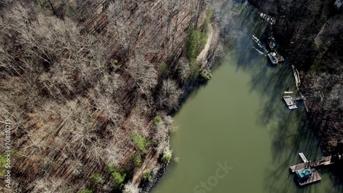 Stagnant water and bare trees surround creek off Lake Wylie photo