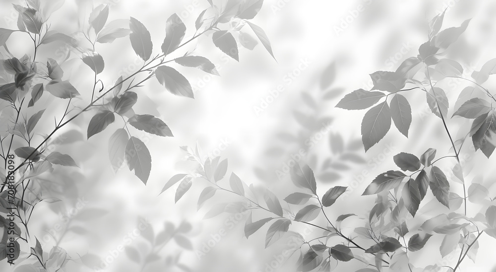 a background showing silhouettes of plants a background showing silhouettes of plants