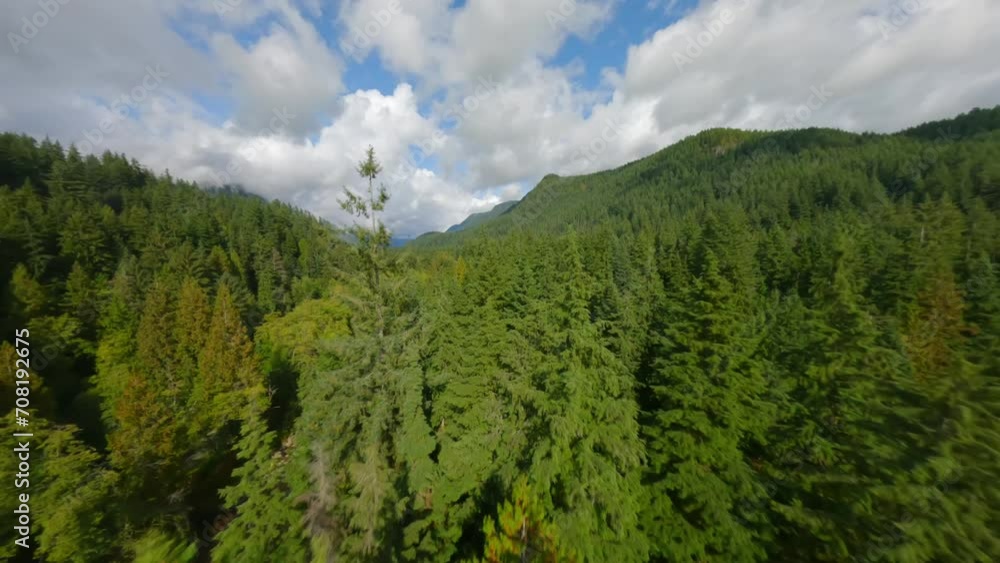 Flight by FPV drone over a mountain landscape and river. Canada. Flight by FPV drone over a mountain landscape and river. Canada.