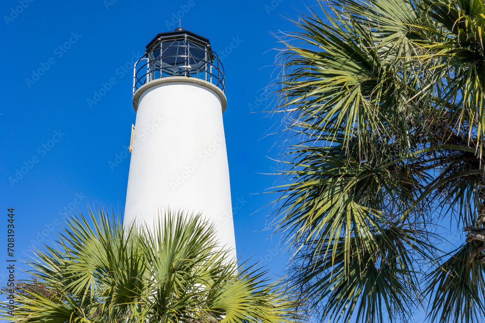 A lighthouse framed by fan palms. A lighthouse framed by fan palms.