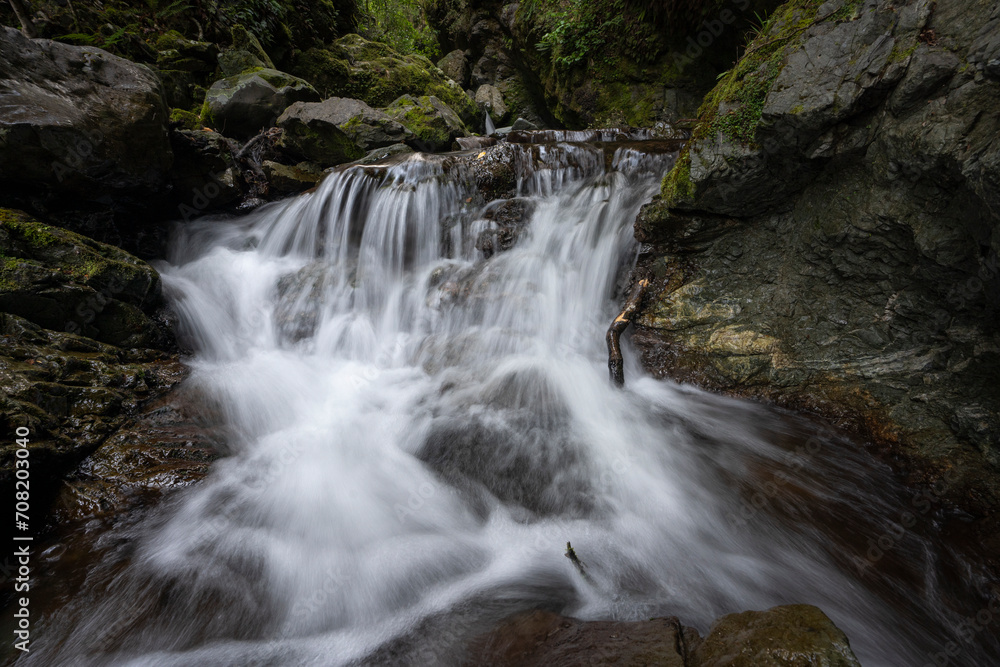 Waterfall and river in a forest in New Zealand