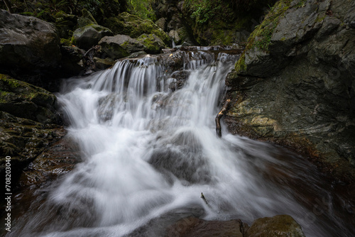 Fototapeta Naklejka Na Ścianę i Meble -  Waterfall and river in a forest in New Zealand