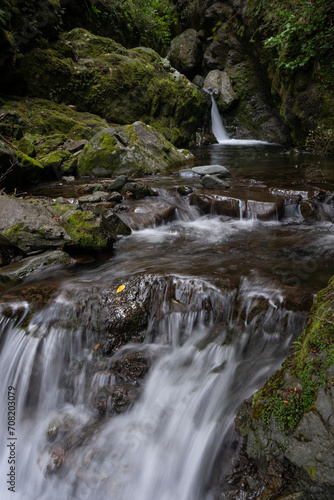 Vertical waterfall background with rocks and trees in a forest