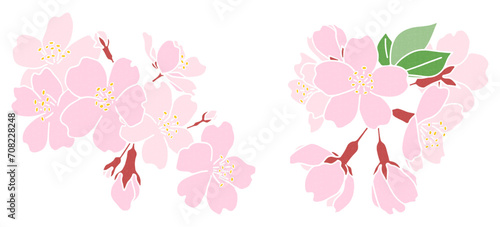 桜の花のカットイラスト素材セット 春の装飾 