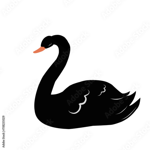 Beautiful Black Swan 