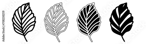 Black and white illustration of a leaf. Leaves icon collection with line. Stock vector illustration.