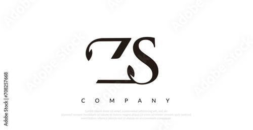 Initial ZS Logo Design Vector 