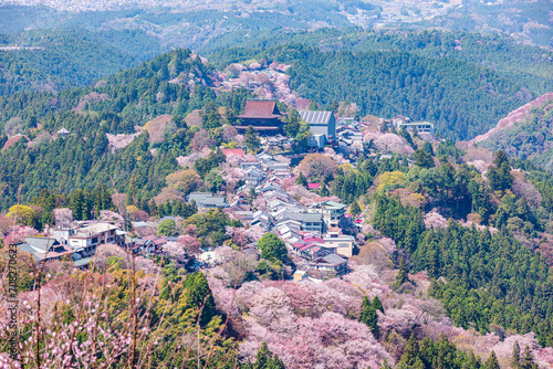 奈良県吉野山　満開の桜風景　
