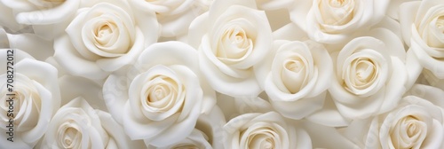 white roses background © Artur