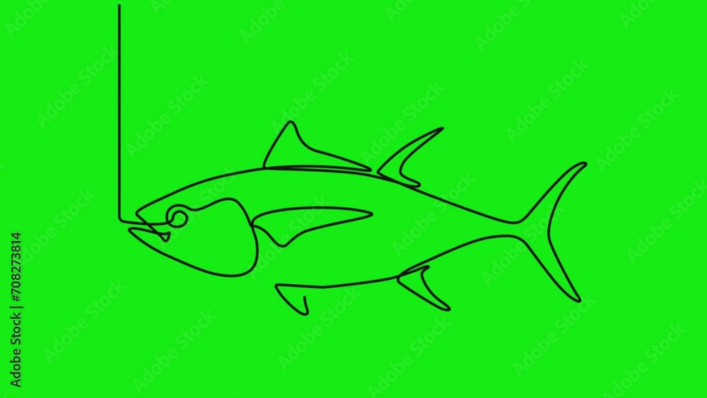 Continuous one line animation. Hand drawn animated motion graphic element of tuna fish. Tuna fish concept in one line running video art style. 4k videos Continuous one line animation. Hand drawn animated motion graphic element of tuna fish. Tuna fish concept in one line running video art style. 4k videos