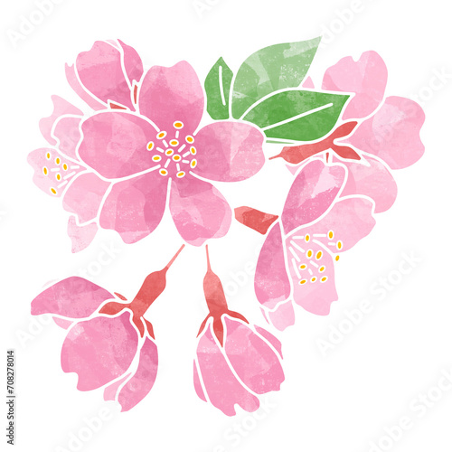 手書きの桜　カットイラスト