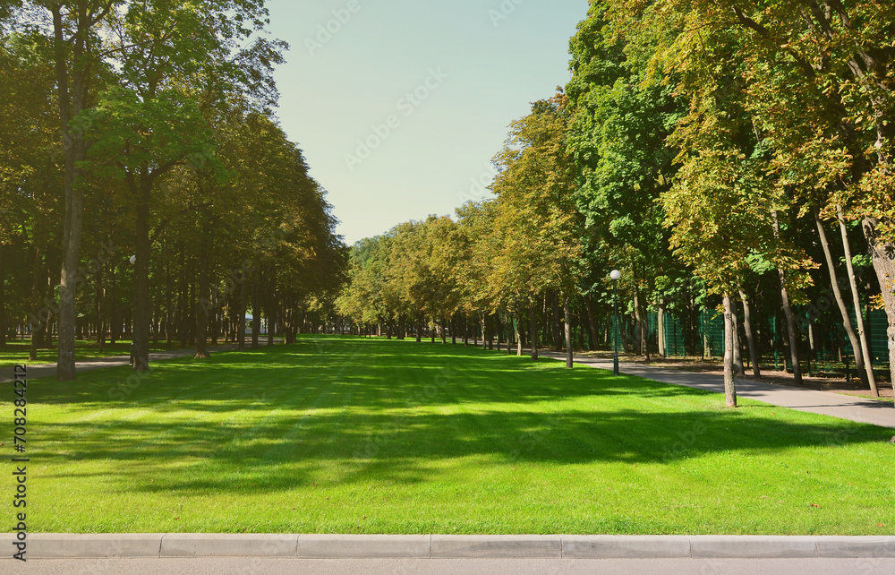Green and orange trees in beautiful park. Floral and natural autumn landscape Green and orange trees in beautiful park. Floral and natural autumn landscape