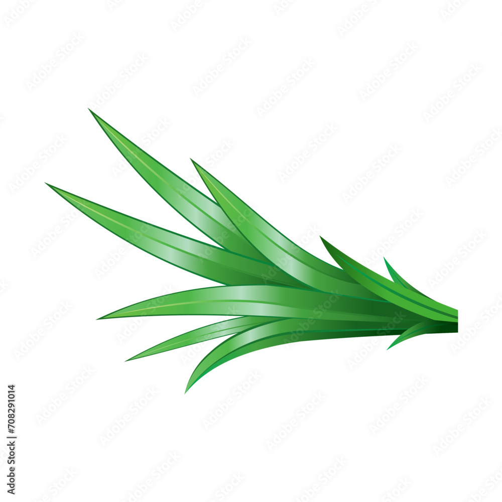 Fototapeta premium Make a Professional Green Pandan Leaves Vector
