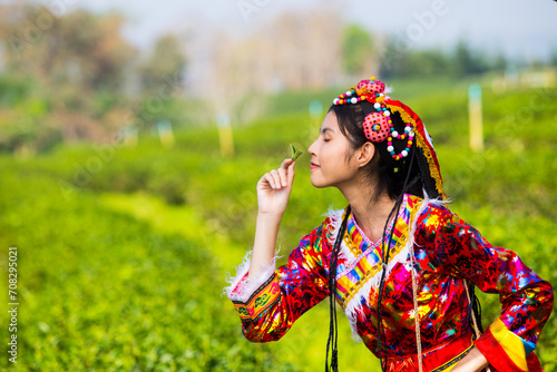 Women in local hill tribe holding young green tea leaves on hill in the evening with sunset ray 