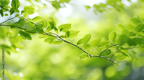 Closeup beautiful nature view of green leaf on blurred greenery background in garden with copy space using as background natural green plants landscape, ecology, fresh wallpaper concept. Generative Ai
