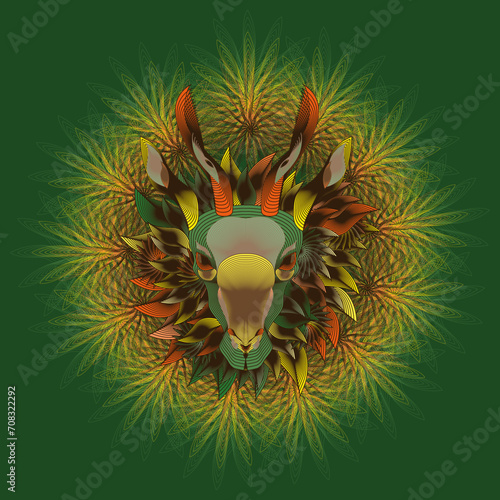 Springbok