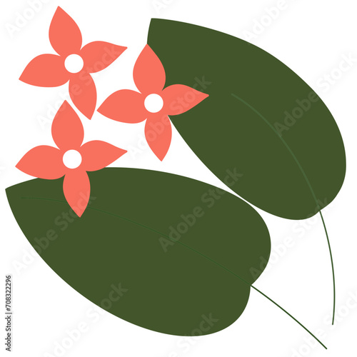 Green leaves plant and pink flowers
