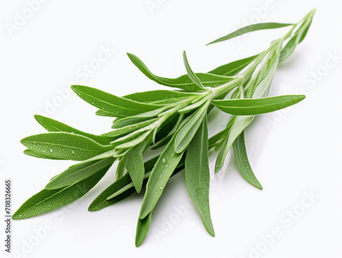 Close-up of fresh tarragon leaves on white background, vitamin and health concept. Generative AI. photo