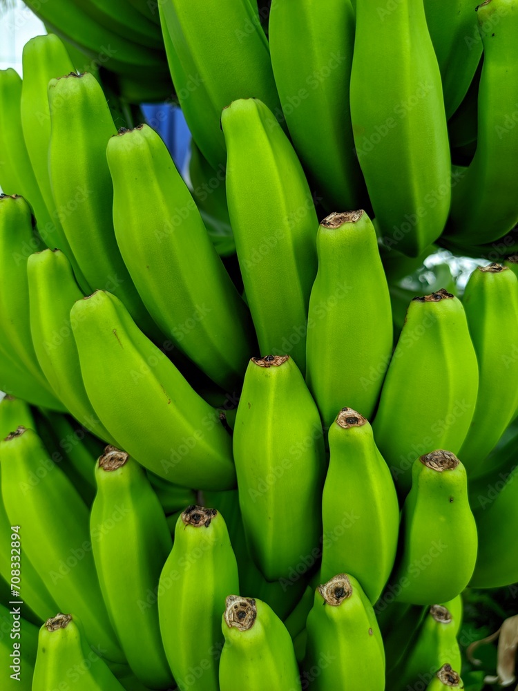 Bananas are one of the nutritious and nutritious healthy foods, especially for athletes Bananas are one of the nutritious and nutritious healthy foods, especially for athletes
