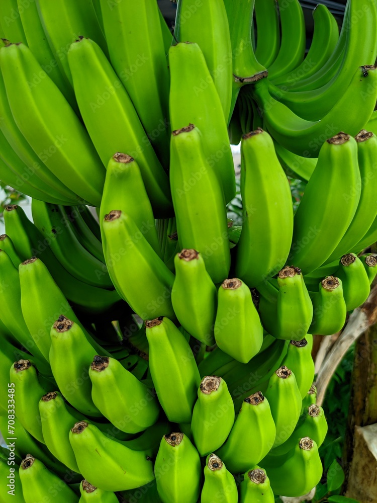 Bananas are one of the nutritious and nutritious healthy foods, especially for athletes Bananas are one of the nutritious and nutritious healthy foods, especially for athletes