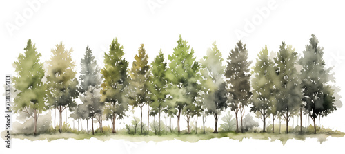 A row of trees, Watercolor Illustration, Transparency