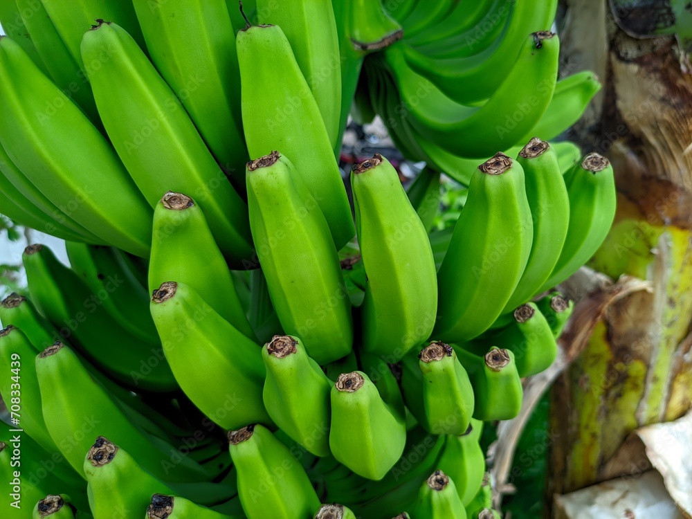 Bananas are one of the nutritious and nutritious healthy foods, especially for athletes Bananas are one of the nutritious and nutritious healthy foods, especially for athletes